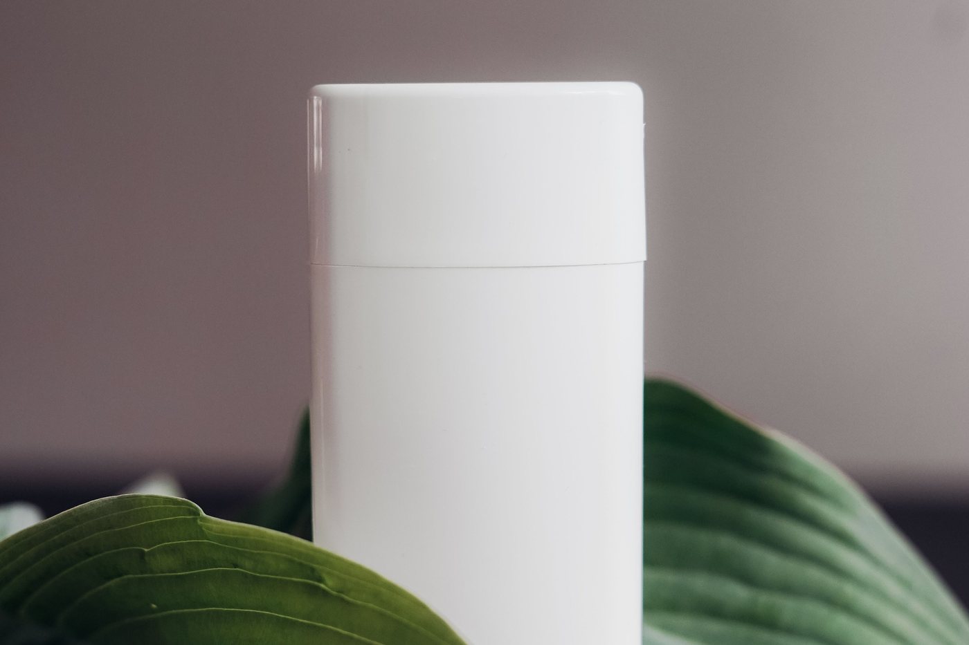 A plain white unbranded toiletry container standing on wood beside large green leaves.